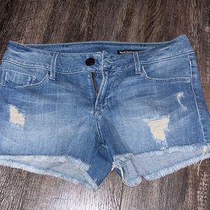 black orchid jean shorts